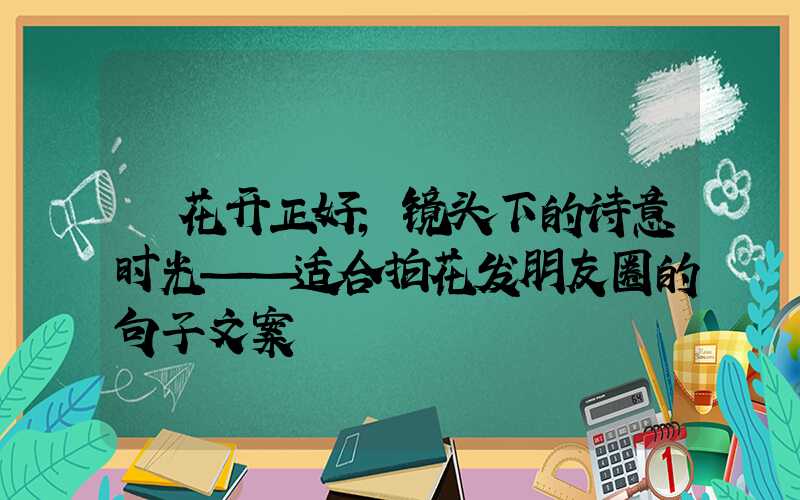 花开正好,镜头下的诗意时光——适合拍花发朋友圈的句子文案